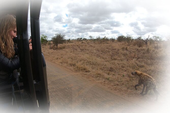 Full Day Private Kruger Park Safari - The 10:00 AM picnic stop