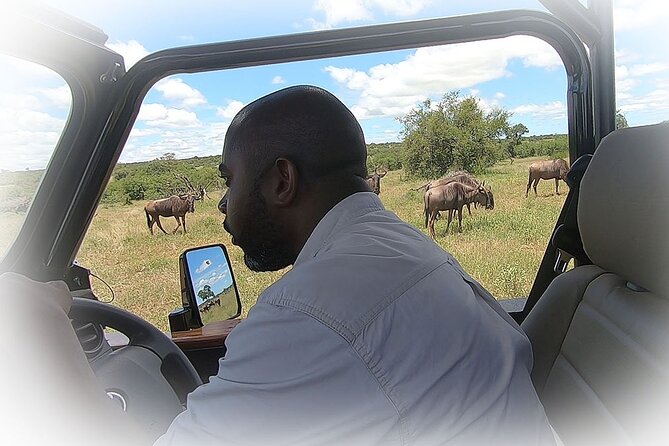 Full Day Private Kruger Park Safari - Lunch at a Kruger rest camp