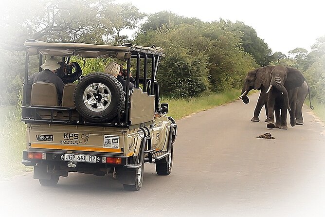Full Day Private Kruger Park Safari - The 5:00 AM departure and park gates