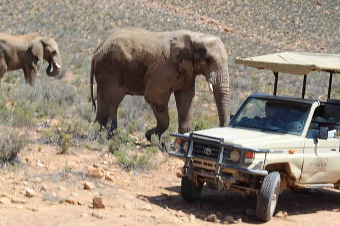 Full-Day Safari Aquila Game Reserve from Cape Town - The Du Toitskloof Tunnel and the road to Worcester