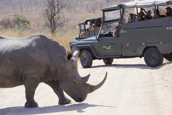 Full Day Safari in the Kruger National Park from Hazyview - How the full-day route works