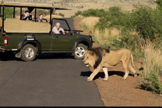 Full Day Safari Tour of Pilanesberg National Park, Open Jeep experience - The game drive and the work of the guide