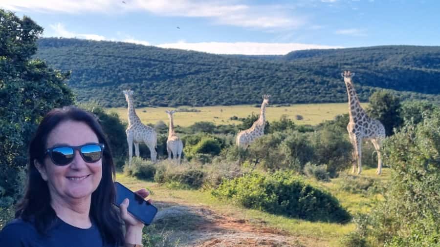 Full-Day Schotia Game Reserve & Giraffe Walk (Open 4x4) - Key points to know before booking