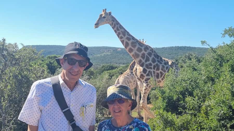 Full-Day Schotia Game Reserve & Giraffe Walk (Open 4x4) - Why this Schotia day works so well