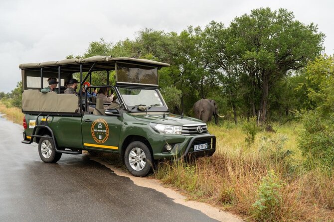 Full-Day Shared Kruger National Park Safari from Hoedspruit - The real value of the $129.80 price