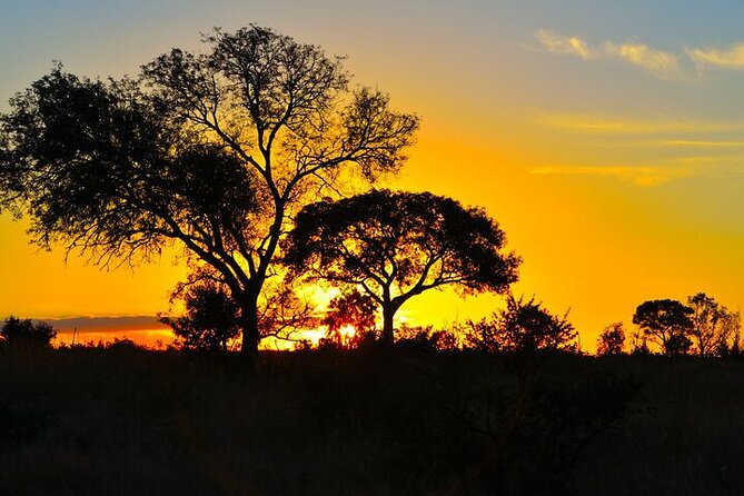 Full-Day Shared Kruger National Park Safari from Hoedspruit - Practical details that affect your day