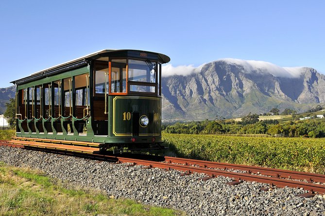 Full-Day Stellenbosch, Franschhoek and Paarl Wine Tasting Tour from Cape Town - What this Cape Winelands day is really like