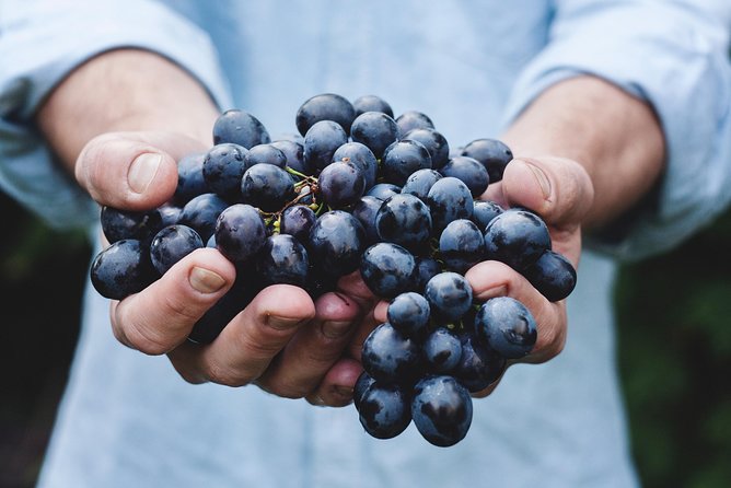 Full-Day Stellenbosch, Franschhoek and Paarl Wine Tasting Tour from Cape Town - Scenery, commentary, and the long stretches between stops