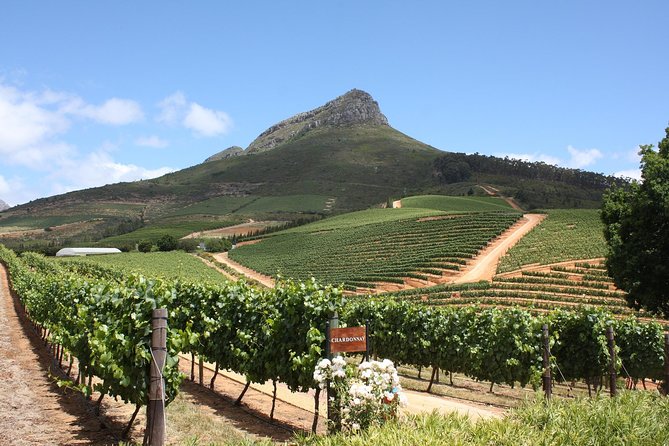 Full-Day Stellenbosch, Franschhoek and Paarl Wine Tasting Tour from Cape Town - Time, group size, and comfort