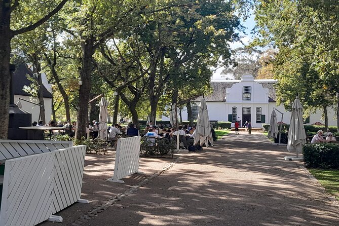 Full Day Stellenbosch, Franshoek &Paarl Wine Tasting Private Tour - Spier Wine Farm: a gentle opening in Stellenbosch