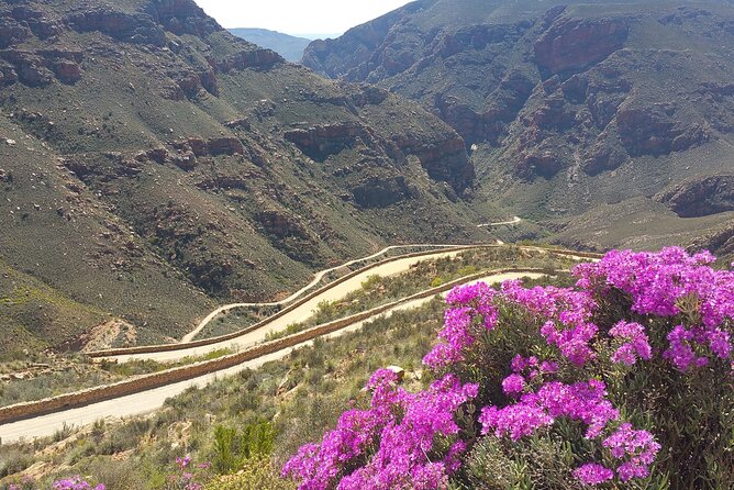 Full-Day Swartberg Mountain PRIVATE Tour (including lunch and transfers) - Guiding that helps you notice more