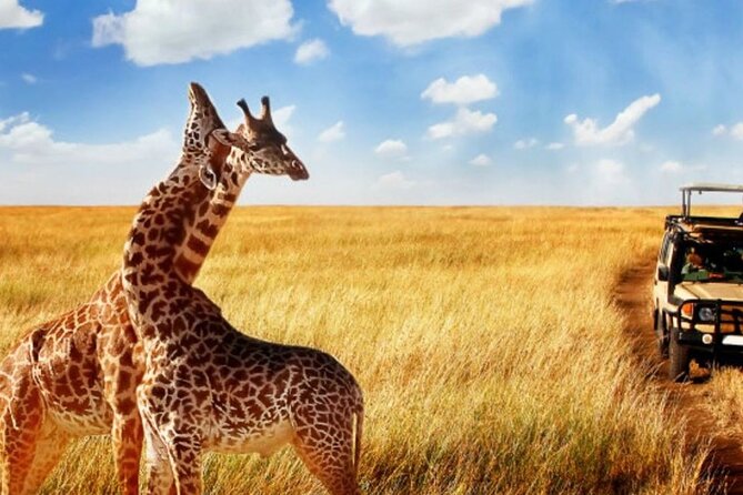 Full Day -Tala Game Reserve, Natal Lion Park, Phezulu From Durban - What makes the experience good value