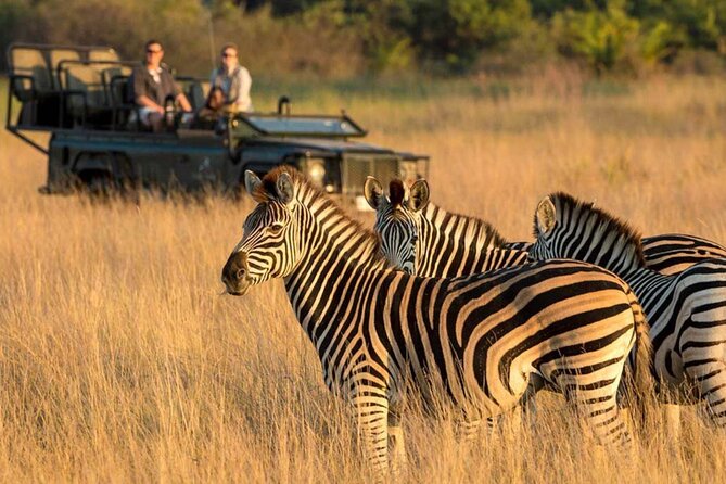 Full Day -Tala Game Reserve, Natal Lion Park, Phezulu From Durban - Who should book this day?