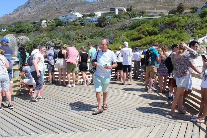 Full-Day Tour to Cape Point and Cape of Good Hope - Chapman’s Peak gives you the great road view
