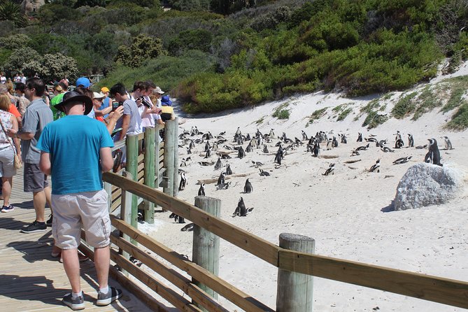Full-Day Tour to Cape Point and Cape of Good Hope - The Cape of Good Hope is the wild section