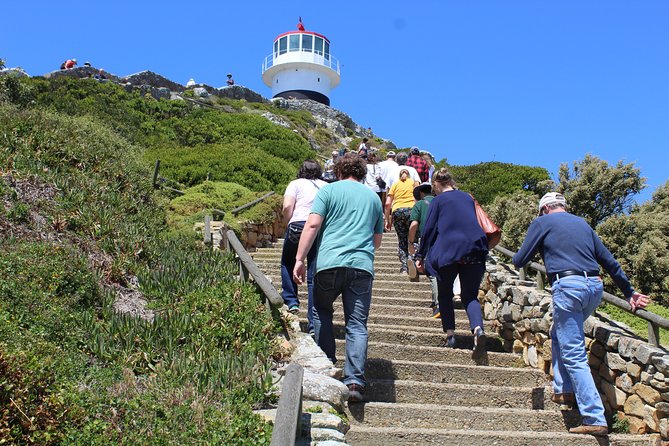 Full-Day Tour to Cape Point and Cape of Good Hope - Cape Point rewards the day’s longest stop