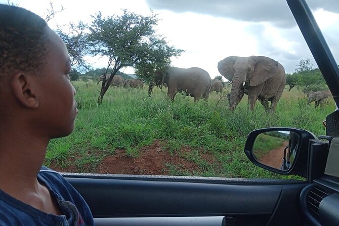 Full Day Ultimate Pilanesberg National Park Safari from Johannesburg or Pretoria - Why Pilanesberg works for a Johannesburg safari