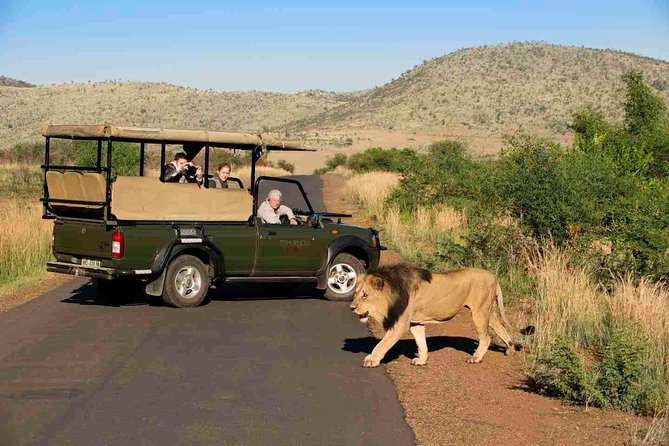 Full Day Ultimate Pilanesberg National Park Safari from Johannesburg or Pretoria - What the $159.89 price covers