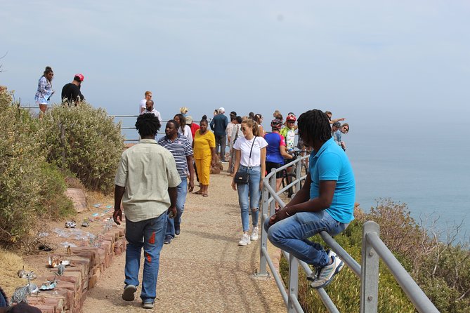 Full Day visit to Cape Point Cape of Good Hope for Special needs from Cape Town - Ostriches, tortoises, and a hands-on stop