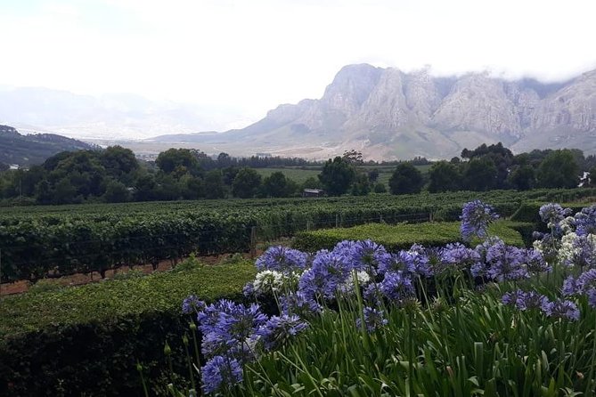 Full Day Wine Tasting in Stellenbosch, Franschoek & Paarl fees included - Mont Rochelle in Franschhoek gets two hours