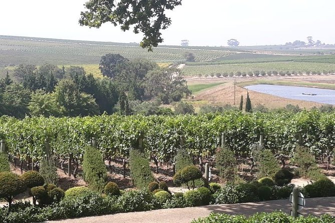 Full Day Wine Tasting in Stellenbosch, Franschoek & Paarl fees included - Spice Route brings Paarl into the picture