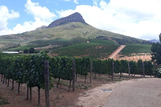 Full Day Wine Tasting in Stellenbosch, Franschoek & Paarl fees included - Timing, group size, and the feel of the day