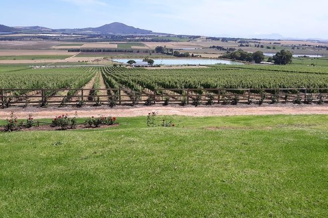 Full Day Wine Tasting in Stellenbosch, Franschoek & Paarl fees included - DeMorgenzon and the music among the vines