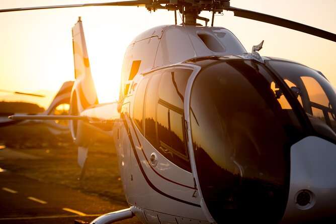 Full Peninsula Scenic Helicopter Flight with Free Boat Cruise - What the complimentary boat cruise adds
