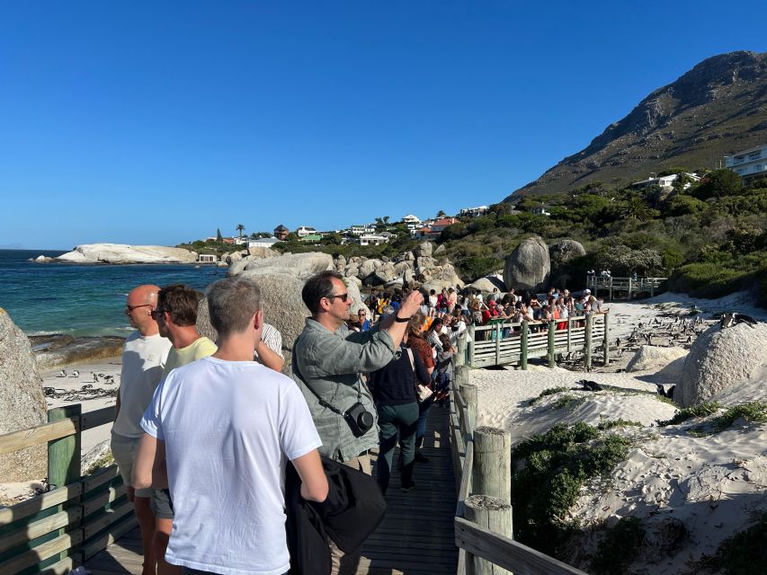 Fully Day Cape Of Good Hope, Penguins, Bo Kaap , Seals Tour - Boulders Beach and the African penguins