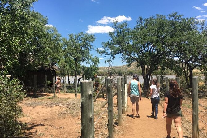 Fully inclusive Pilanesberg safari from Johannesburg - Who should book this safari