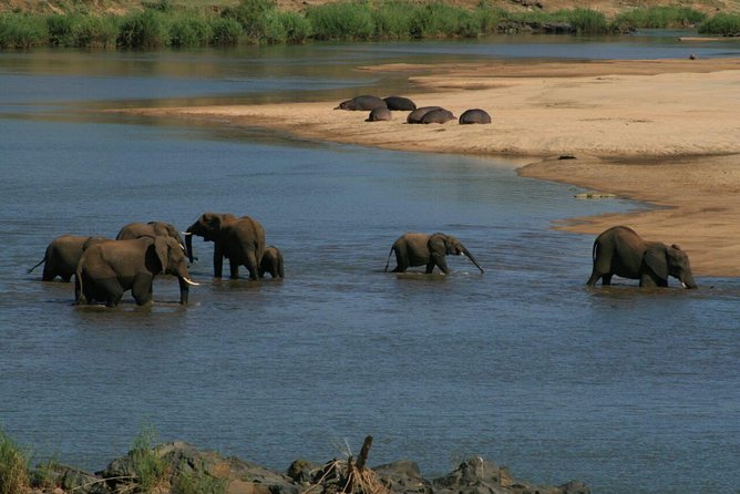 Fully inclusive Pilanesberg safari from Johannesburg - The 6:00 am start from Johannesburg