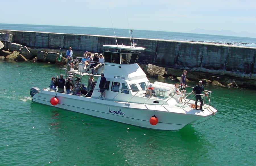 Gansbaai: Whale Watching Trip by Boat - Key points to know before you book
