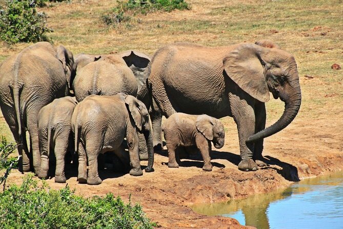 Garden Route 5 Day Hiking & Safari Adventure from Cape Town - What the private format adds