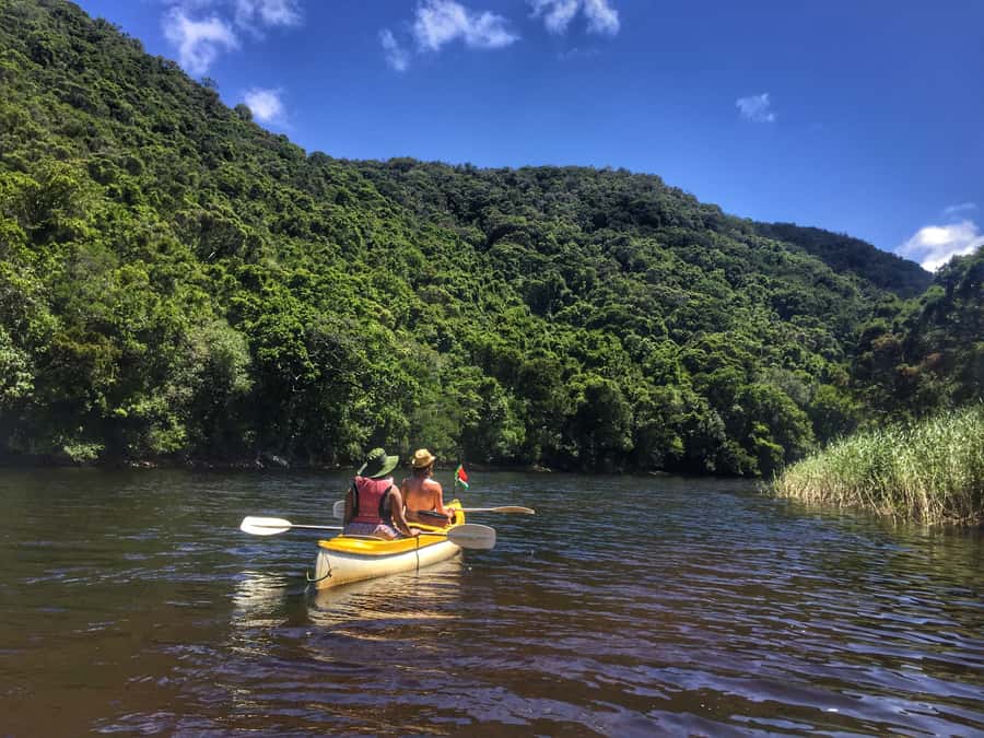 Garden Route and Addo Elephant National Park: 5-Day Safari - Why this five-day route works