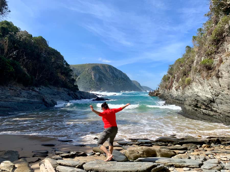 Garden Route and Addo Elephant National Park: 5-Day Safari - Who should book this South Africa tour