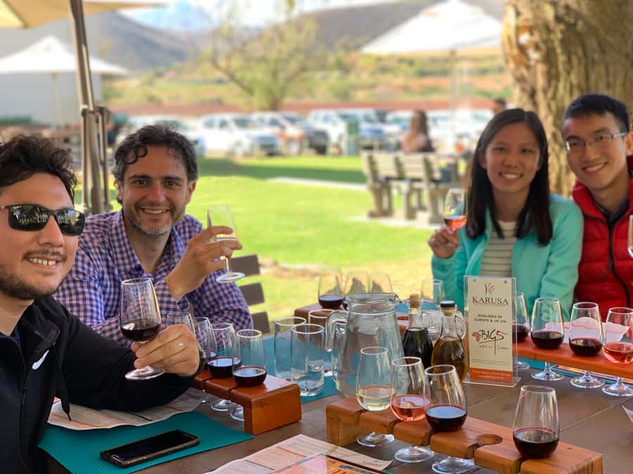Garden Route and Addo Elephant National Park: 5-Day Safari - Day 1: Penguins, Hermanus, and Africa’s southern tip