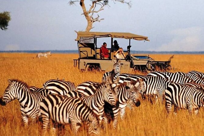 Garden Route and Addo National Park 4 Day Safari - Practical details before you reserve
