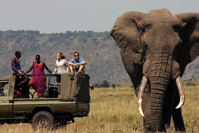 Garden Route & Botlierskop G Reserve 5 Day Safari from Cape Town - Why this Garden Route circuit works