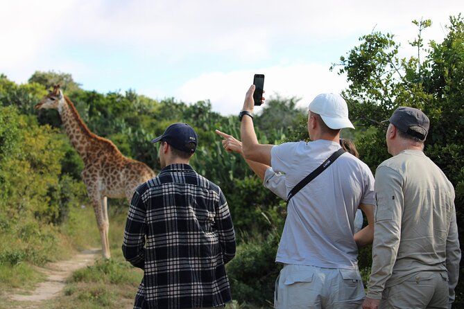 Giraffe Tracking 4x4 Safaris - Key points to know before you book
