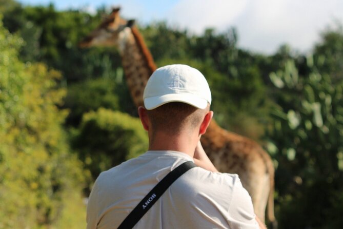Giraffe Tracking 4x4 Safaris - Meeting giraffes on foot at Bellevue Forest Reserve