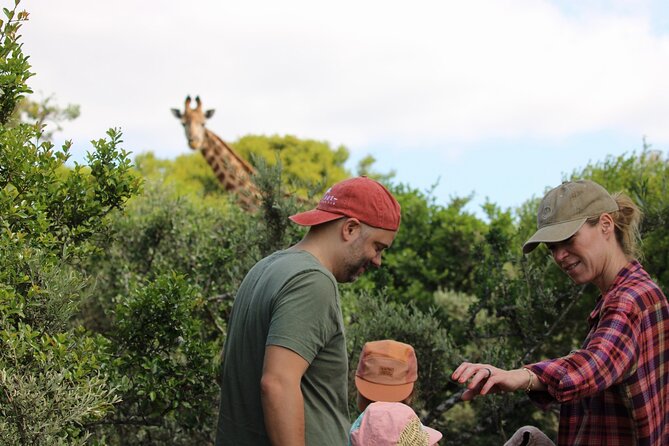 Giraffe Tracking 4x4 Safaris - Tracking giraffes through the bushveld