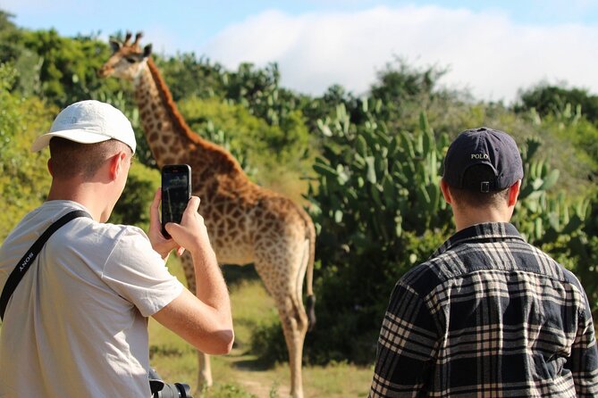 Giraffe Tracking 4x4 Safaris - Best departure time for your plans