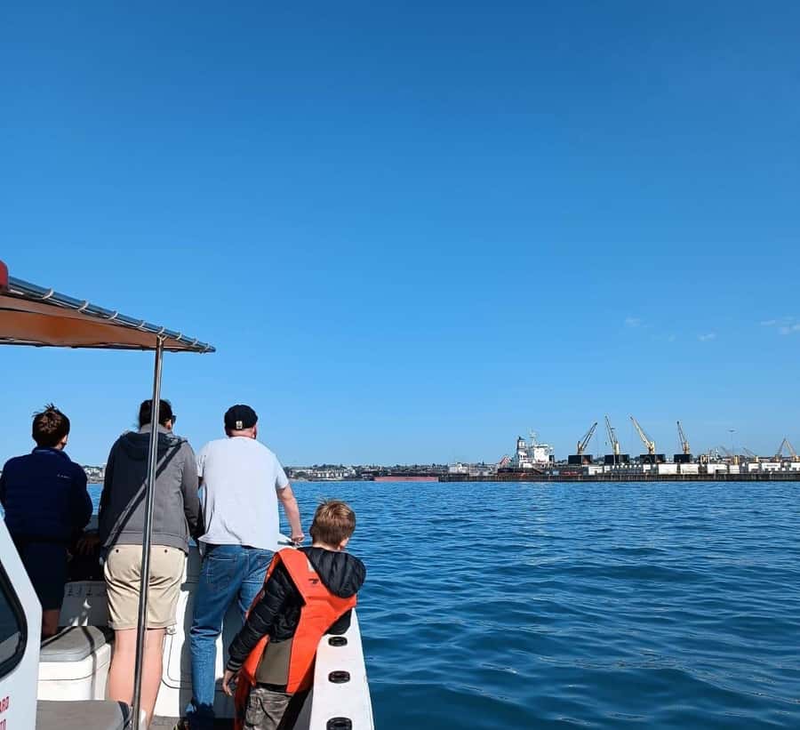 Gqeberha: 30 MINUTE HARBOUR CRUISE - Key points to know before booking