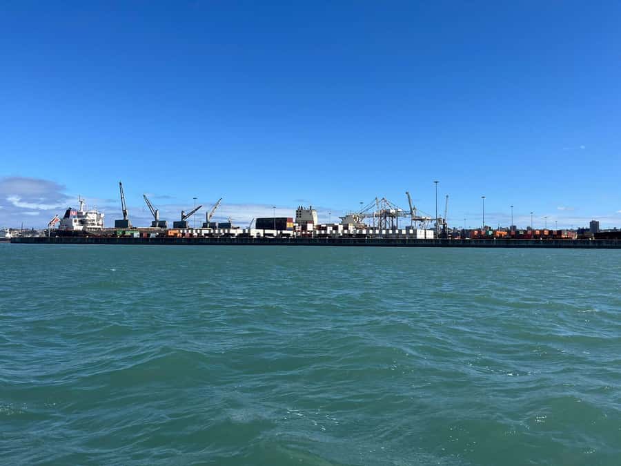 Gqeberha: 30 MINUTE HARBOUR CRUISE - Why the ship and cargo lessons add value