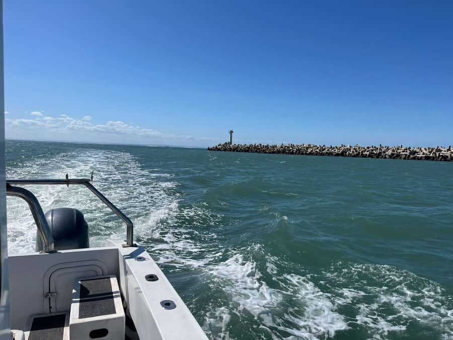 Gqeberha: 30 MINUTE HARBOUR CRUISE - Who will get the most from this cruise?
