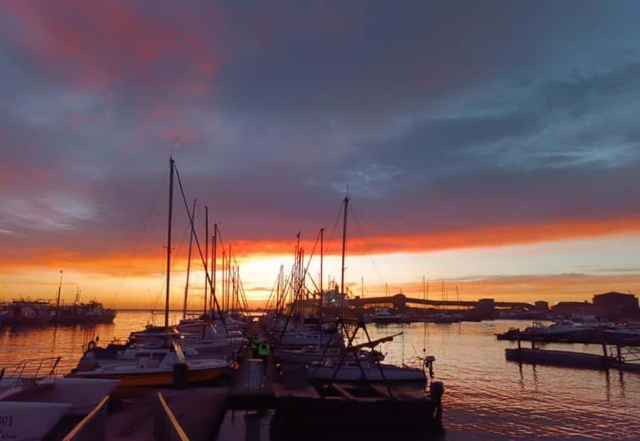 Gqeberha: 30 MINUTE HARBOUR CRUISE - Planning your visit around the 30-minute schedule