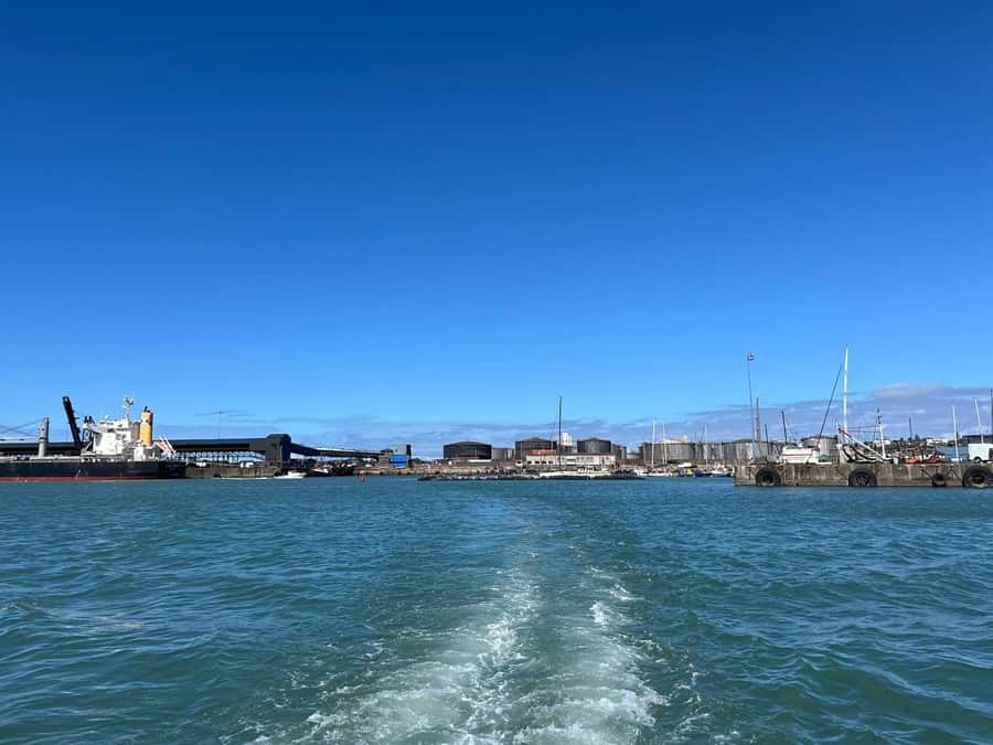 Gqeberha: 30 MINUTE HARBOUR CRUISE - My call: book it for the port, not the beach