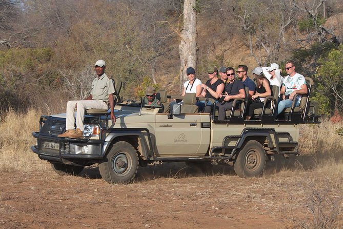Greater Kruger National Park 4 day safari at a private game lodge - Key points to know before booking