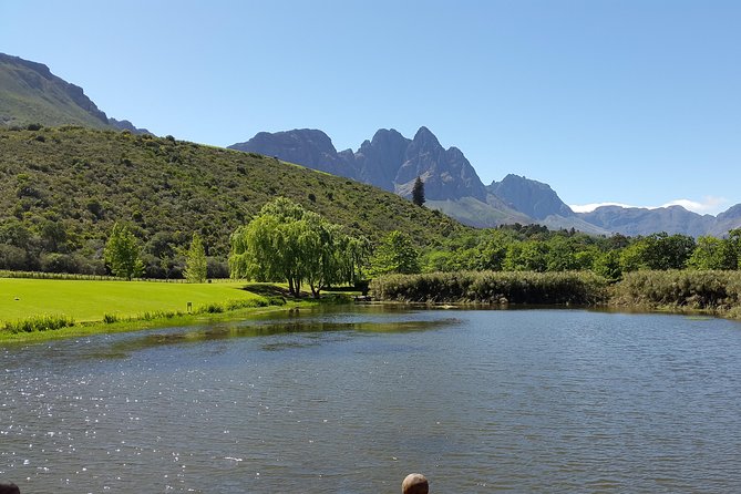 Guided Bike Tour of Stellenbosch - Botanical gardens, the Eerste River, and the university