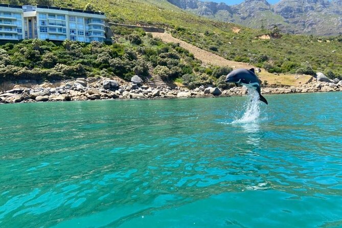 Guided Kayaking in Hout Bay - Paddling toward Chapman’s Peak